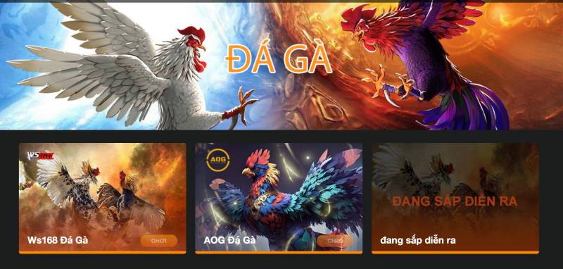 8kbet ⭐️ 8k bet | Link Vào Trang Chủ Nhà Cái 8kbet Mới Nhất 16 Đá gà trực tuyến – Cảm giác thật, kịch tính từng giây